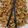 Sumera Rahman's cooksnap of when they made Left over roti noodle.