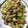 SpottedByD's cooksnap of when they made Green Beans in Spicy Coconut Milk (Filipino Gising-Gising).