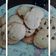 El cooksnap de Pame cuando hizo Galletitas muy fáciles!! 🍪.