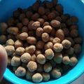 Cooksnap dari Farida Fayik Nur untuk resep Kacang Telor Renyah