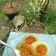 Cooksnap dari Deffi Mom's Ahnaf untuk resep Puding mie telur