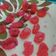 Cooksnap dari E_Kara untuk resep Permen Jelly Gulung (jelly candy)