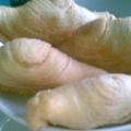 Cooksnap dari Semilaksih untuk resep Curry Puff/ karipap pusing/ pastel singapore ^_^ bonus Roti Maryam