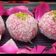 Vandana Mathur का कुकस्नैप जब उन्होंने इंस्टेंट नारियल लड्डू (Instant coconut laddu recipe in hindi) बनाया था।