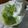 Cooksnap dari Ratmiaji Zaki untuk resep Lumpur Surga (Khas Banjarmasin)