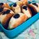 Cooksnap dari Fadira Butik untuk resep Super Fluffy Doughnut / Donat Bomboloni