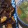 Cooksnap dari Cep Krishna untuk resep Sop Buntut Goreng