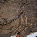 Cooksnap dari dian ratnasari untuk resep Pancake pisang milo