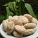 Cooksnap dari nayu untuk resep Gemblong Ketan Putih by Femina