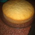 El cooksnap de Gabriela Fontanini cuando hizo Bizcochuelo alto y esponjoso.