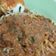 Cooksnap dari Elda Diorima untuk resep Mie lendir khas kepri (kepulauan Riau)