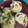 El cooksnap de Bonjo-Jafera Tía Leo cuando hizo Matambre de pollo.