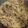 El cooksnap de Deborah cuando hizo Fideos chinos con verduras y ternera.