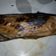 Cooksnap dari Danni Moerdono untuk resep Pepes Ikan Kembung Kemangi