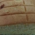 Cooksnap dari Yuliana hamam untuk resep Bolu Labu Kuning Keju & Kismis