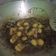 Cooksnap dari Aan Pradipta untuk resep Semur Telur Puyuh Kecap Kuah Kental