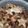 El cooksnap de Javier Martin cuando hizo Galletitas de cacao.