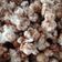 Cooksnap dari Sufiyani Herlambang untuk resep Pop Corn caramel