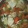 Cooksnap dari S.G.Hidayat untuk resep Sup ayam tahu gurih