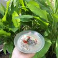 Cooksnap dari Nadia Roha untuk resep Duplicate Sop Ayam Pak Min Klaten