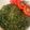 Cooksnap dari Masayu untuk resep Carrot leaves Thai omelette (Cha-om Tord)