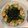 Sophie Yang 的 鮮蝦義大利麵 cooksnap