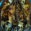 Cooksnap dari Nindy Putri untuk resep Ikan kembung goreng sedikit bumbu tapi enak