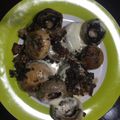 El cooksnap de Humberto Iturbe cuando hizo Setas a la parrilla con tocineta y parmesano.