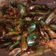 Cooksnap dari Mia desi Farida untuk resep Kerang ijo asam pedas manis