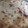 El cooksnap de Mariela Alejandra Metzler cuando hizo Tarta de atún con huevo, jamón, queso y cebolla.