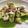 Diana Nelson's cooksnap of when they made Easy Tortellini w/ Chimichurri.