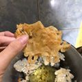 Cooksnap dari alvionita prawitasari untuk resep Peyek teri nasi