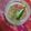 Cooksnap dari wulan silalahi untuk resep Srikaya jam/ selai srikaya easy