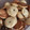 El cooksnap de Vero Robinson cuando hizo Galletitas de vainilla con rocklets.