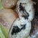 Cooksnap dari Ummu Fatimah untuk resep Donat Tape Simple
