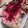 El cooksnap de Ariel M cuando hizo Cheesecake sin horno.