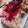 El cooksnap de Ariel M cuando hizo Cheesecake sin horno.