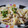 El cooksnap de Fernando Caballer Carbonell cuando hizo Macarrones con bacon y champiñones.