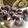 Cooksnap dari Yunidwi Susanti untuk resep Muffin coklat kukus