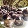 Cooksnap dari Yunidwi Susanti untuk resep Muffin coklat kukus