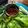 Cooksnap dari Jayanti Lim untuk resep Sambal Terasi
