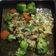 Cooksnap dari Ugahari Nurul untuk resep Steamed Broccoli with Garlic Sauce