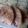 Raduma Jamse (0716271944)'s cooksnap of when they made Brown chapatis.