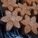 Cooksnap dari Pawon A-sig untuk resep Bolu Sakura