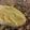 El cooksnap de Silvia Noemi Rihl Winchel cuando hizo Hummus.