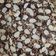 Cooksnap dari Donasia Viera Widhi Arsanti untuk resep Fudge chewy brownies
