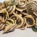 Cooksnap dari Bunda Akbar Ali untuk resep Kuping gajah renyah tanpa santan (ekonomis)