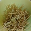 Cooksnap dari Yuni TW untuk resep Mie lidi(jajanan anak SD) khas pemalang