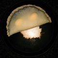 El cooksnap de raul timpanaro cuando hizo Tarta pascualina.
