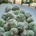 Cooksnap dari Susy Amira untuk resep Klepon